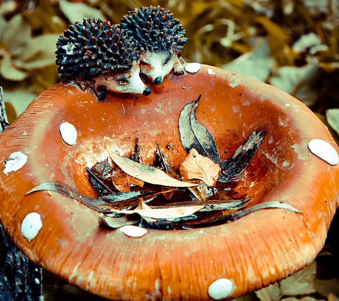 Обои Wooden Mushroom And Hedgehogs 1080x960