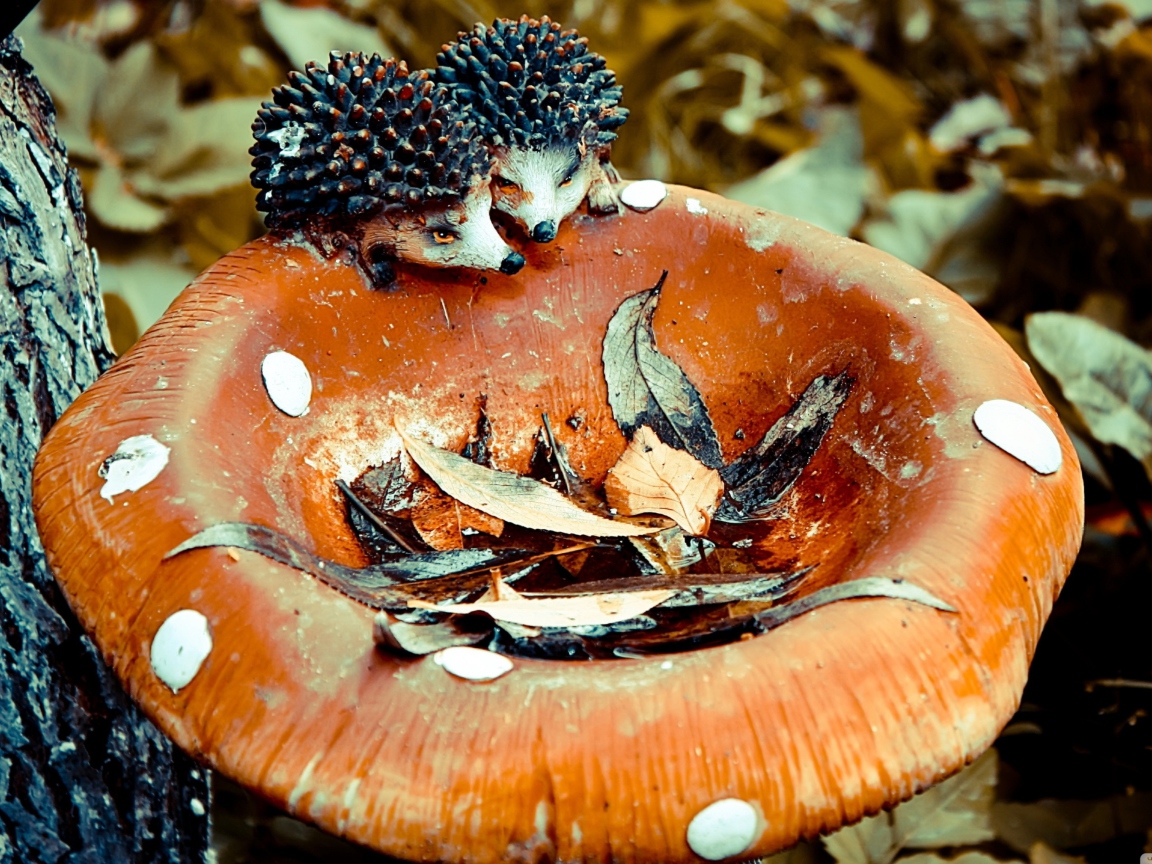 Sfondi Wooden Mushroom And Hedgehogs 1152x864