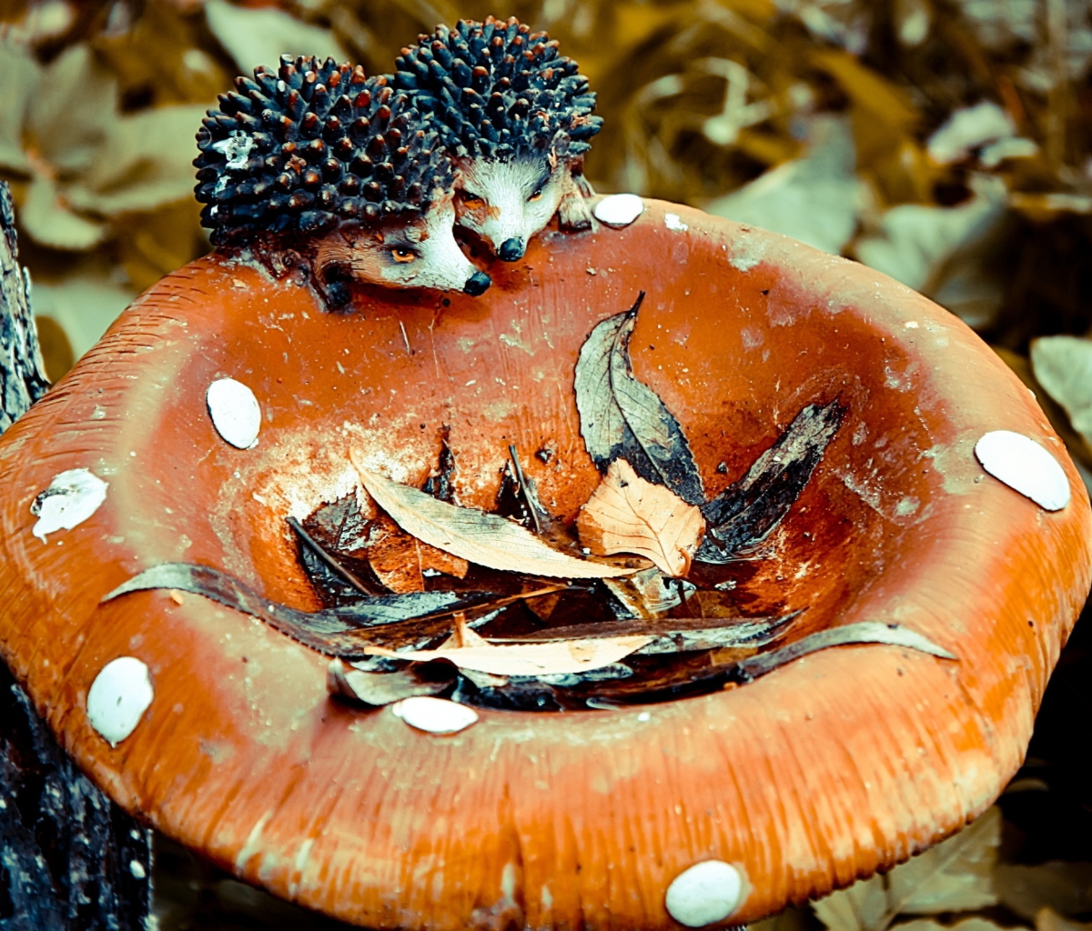 Sfondi Wooden Mushroom And Hedgehogs 1200x1024