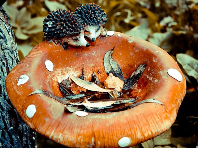 Sfondi Wooden Mushroom And Hedgehogs 640x480