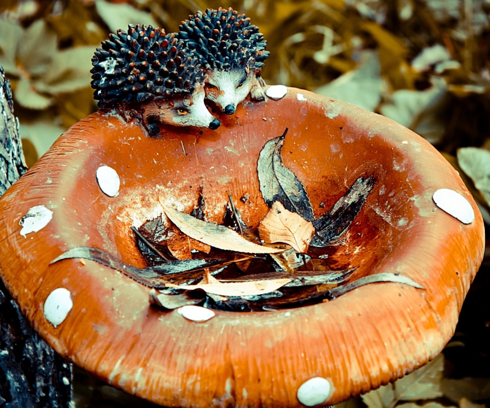 Das Wooden Mushroom And Hedgehogs Wallpaper 960x800