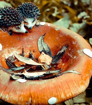 Wooden Mushroom And Hedgehogs - Obrázkek zdarma pro 640x1136