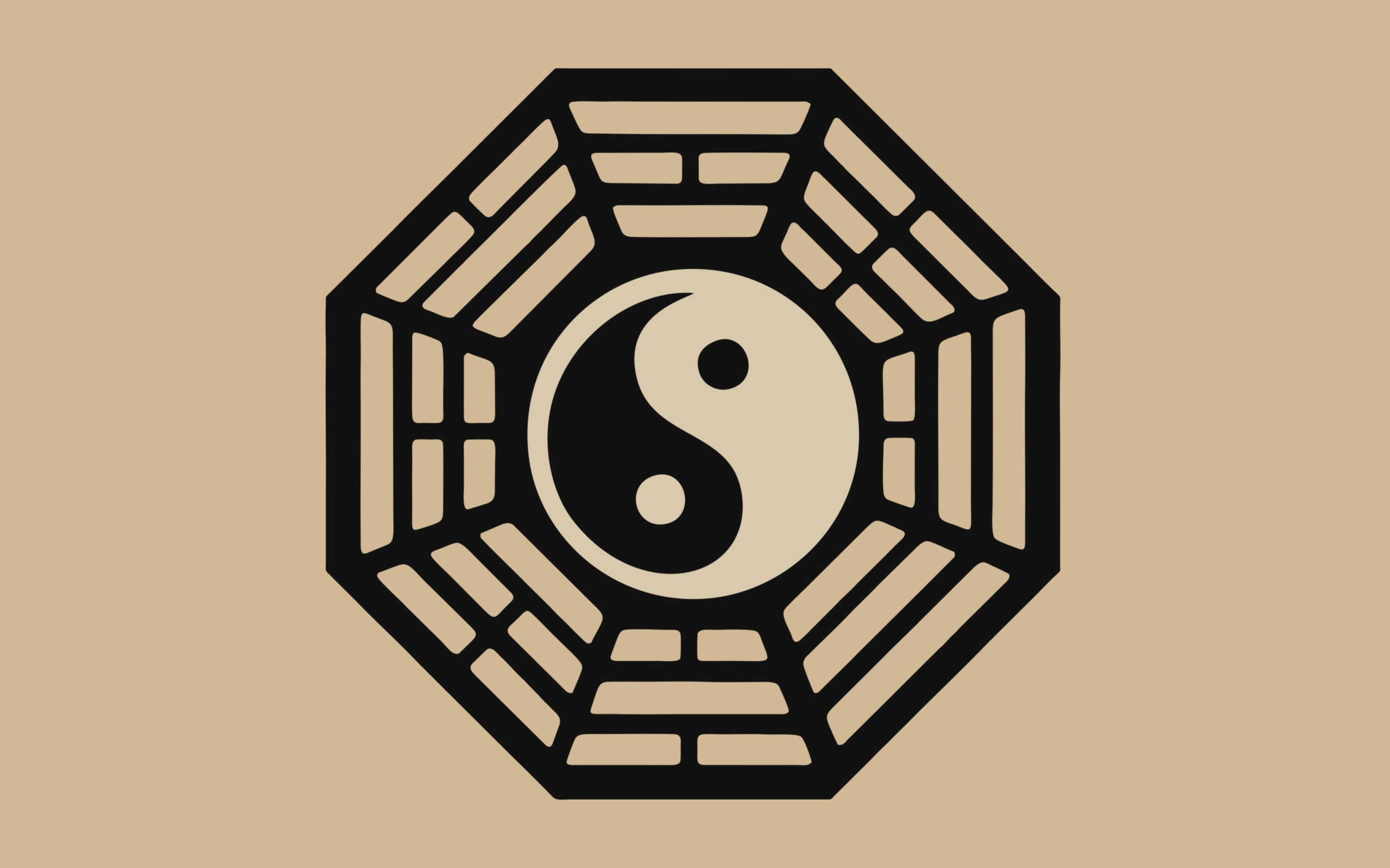 Fondo de pantalla Yin Yang Symbol 2560x1600