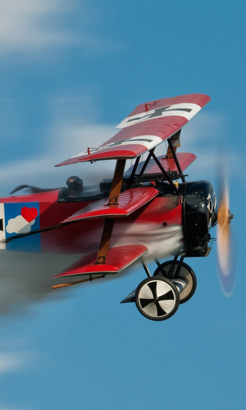 Screenshot №1 pro téma Fokker Dr I Triplane 480x800