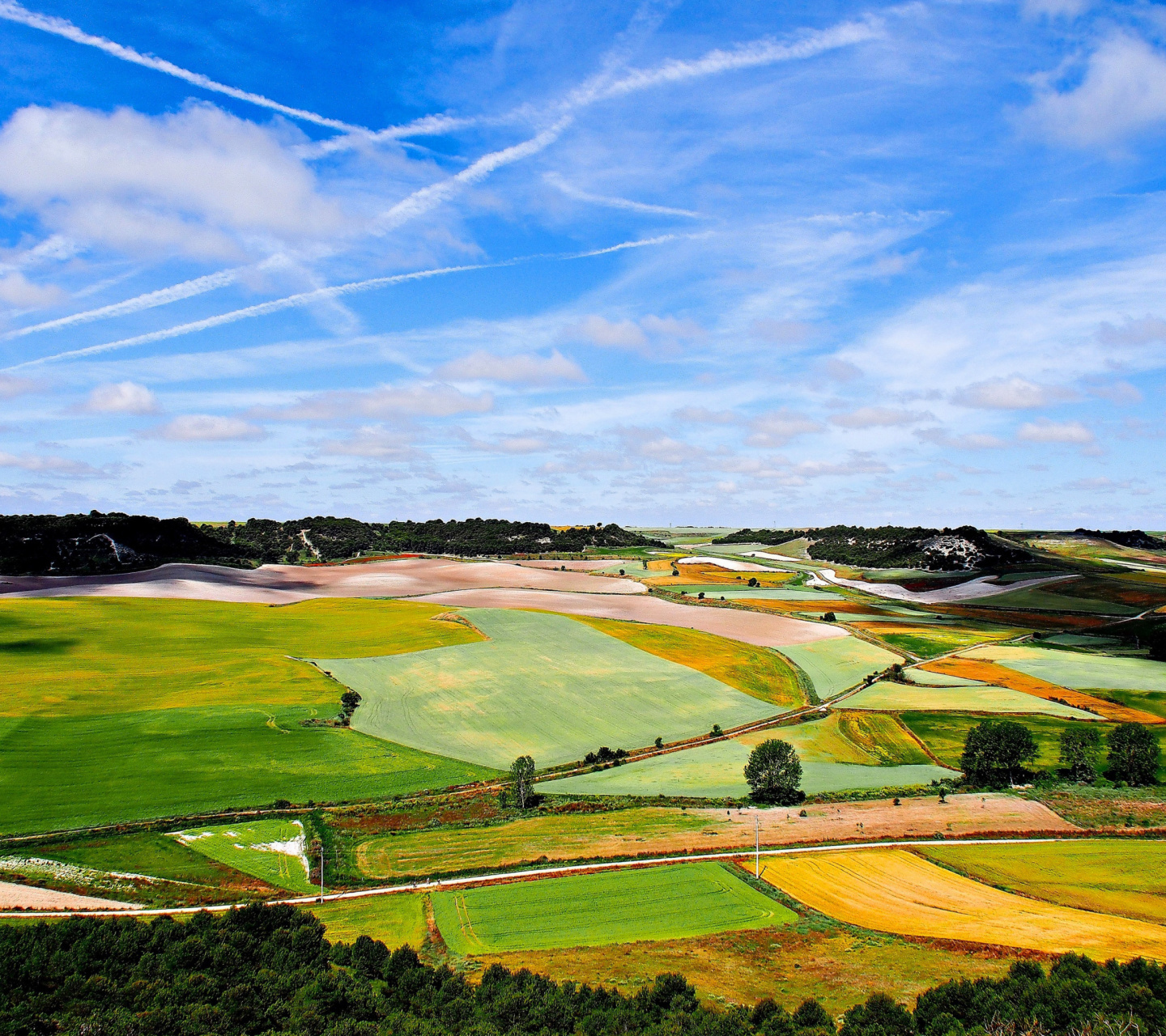 Picturesque Landscape Valley wallpaper 1440x1280