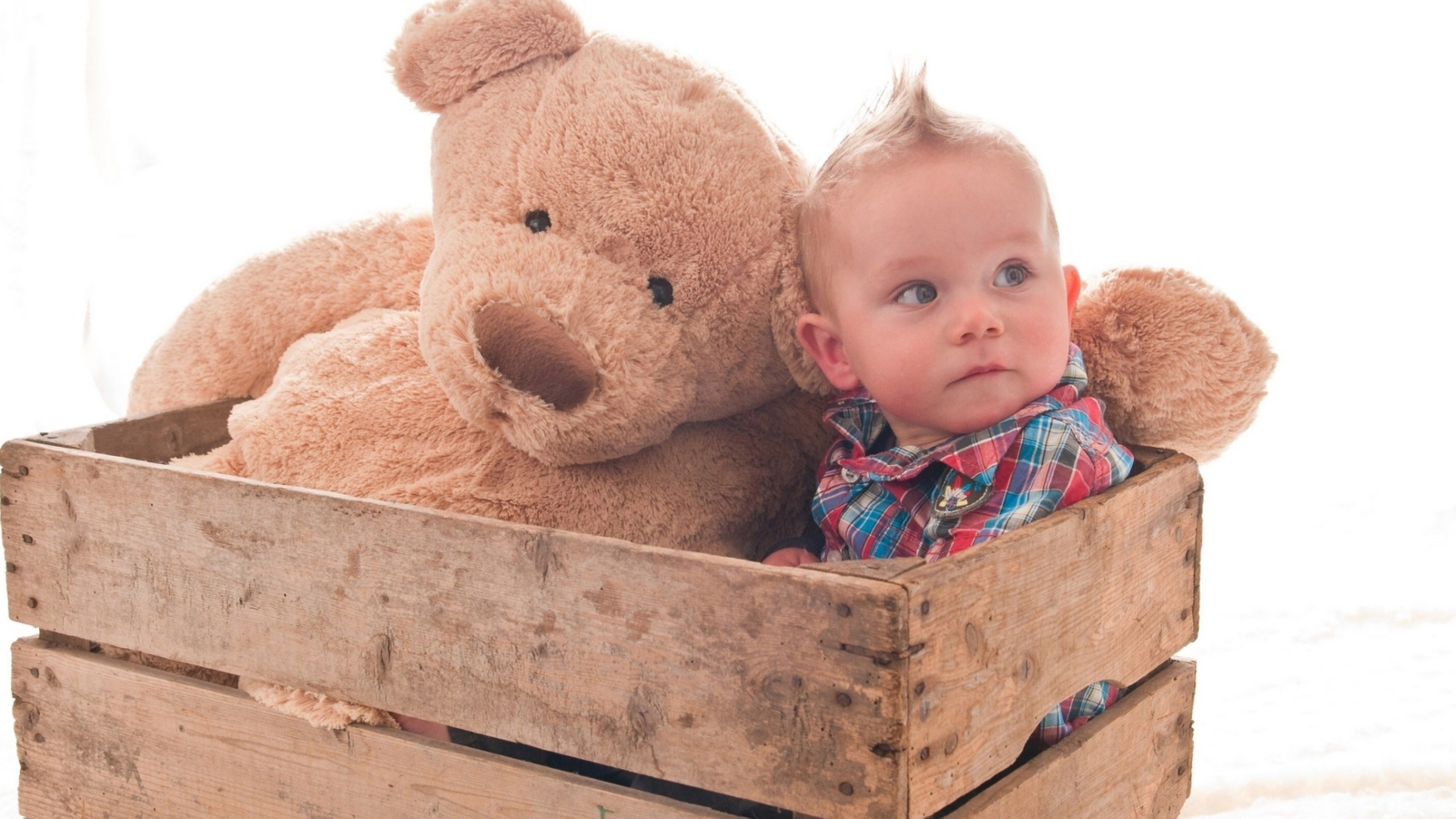 Обои Baby Boy With Teddy Bear 1600x900