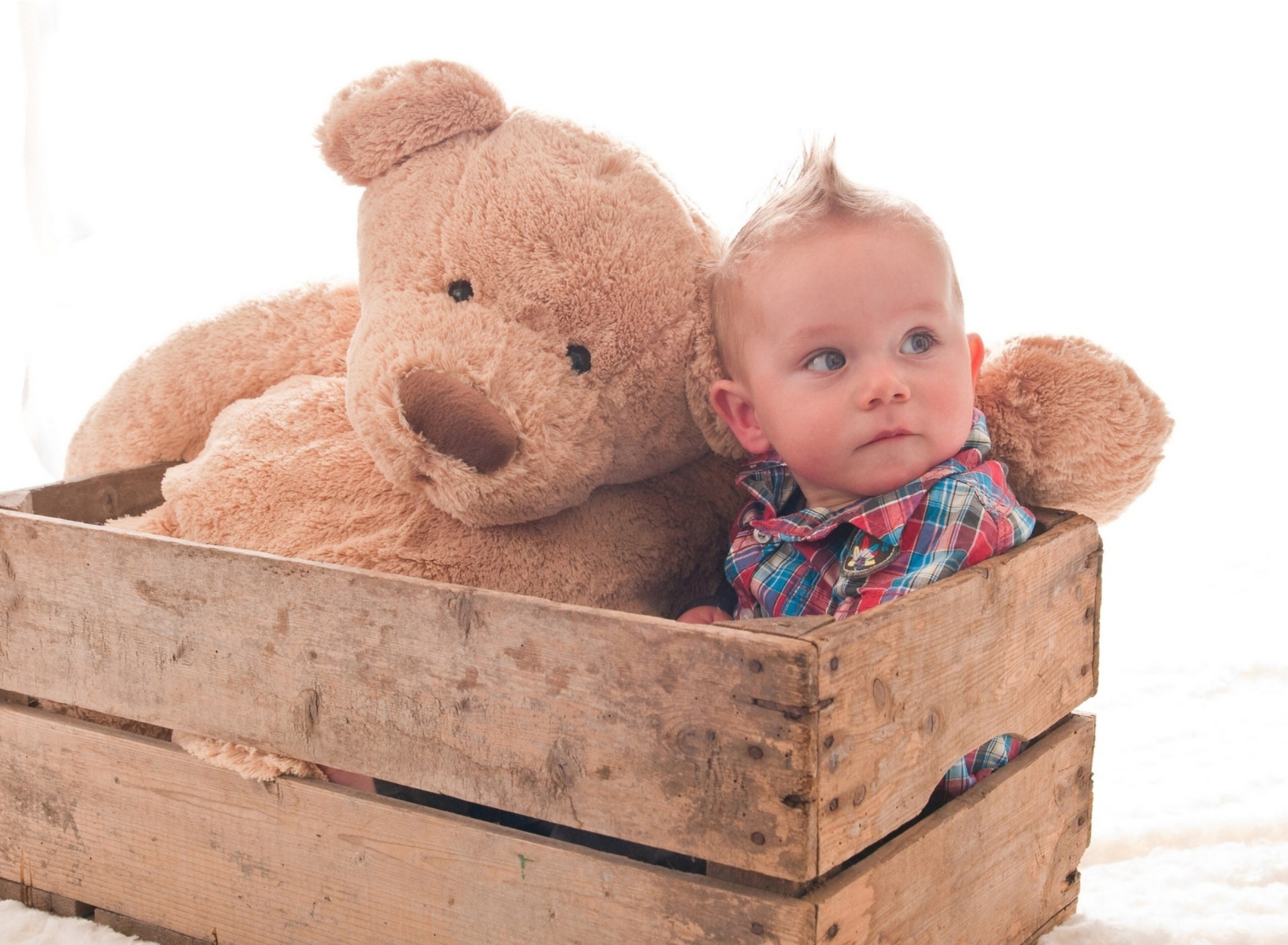 Das Baby Boy With Teddy Bear Wallpaper 1920x1408