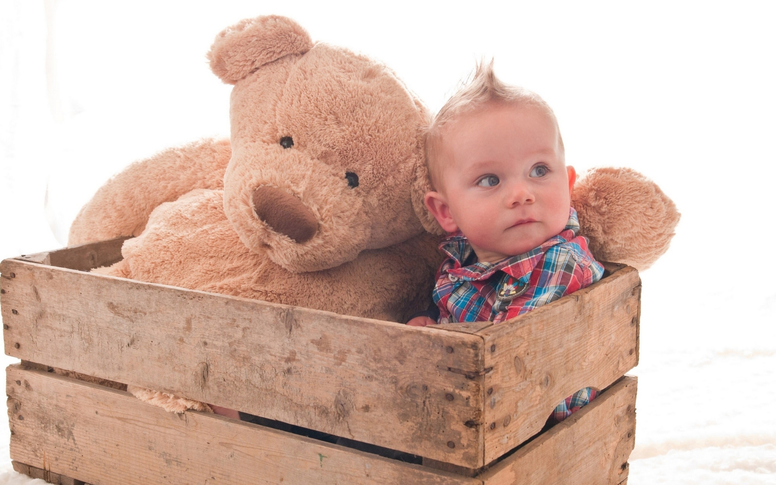Screenshot №1 pro téma Baby Boy With Teddy Bear 2560x1600