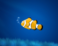 Fondo de pantalla Little Yellow Fish 220x176