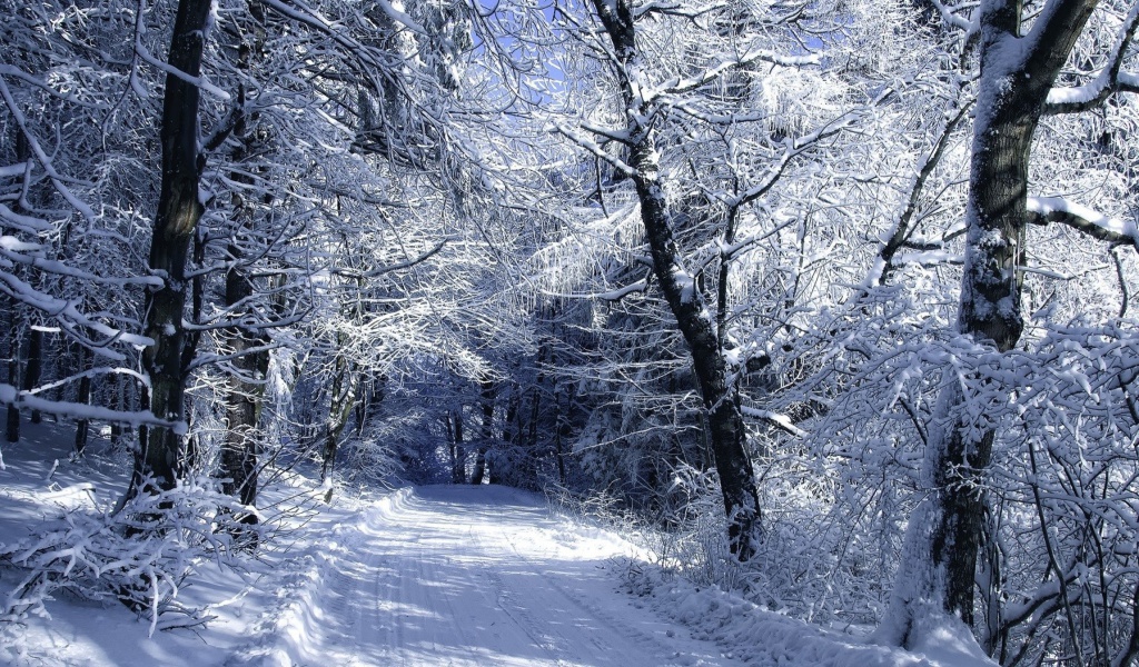Winter Road in Snow screenshot #1 1024x600