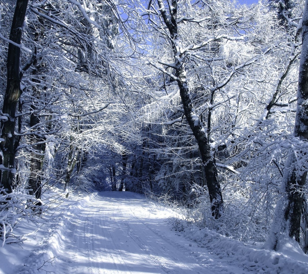 Winter Road in Snow wallpaper 1080x960