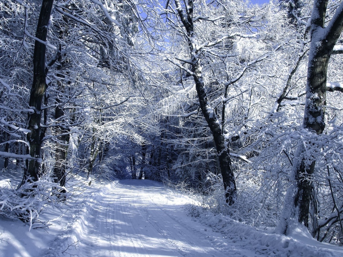 Winter Road in Snow wallpaper 1152x864
