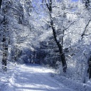 Fondo de pantalla Winter Road in Snow 128x128