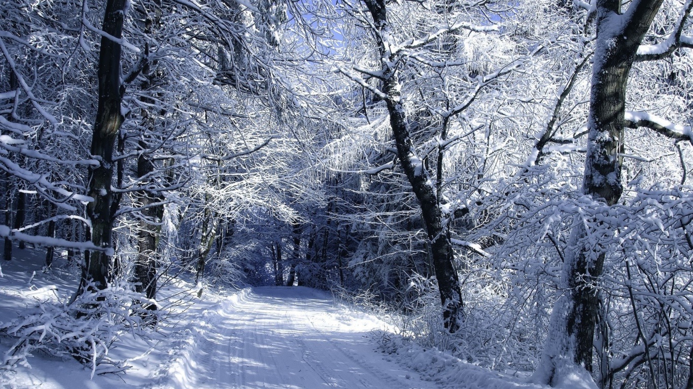 Winter Road in Snow screenshot #1 1366x768