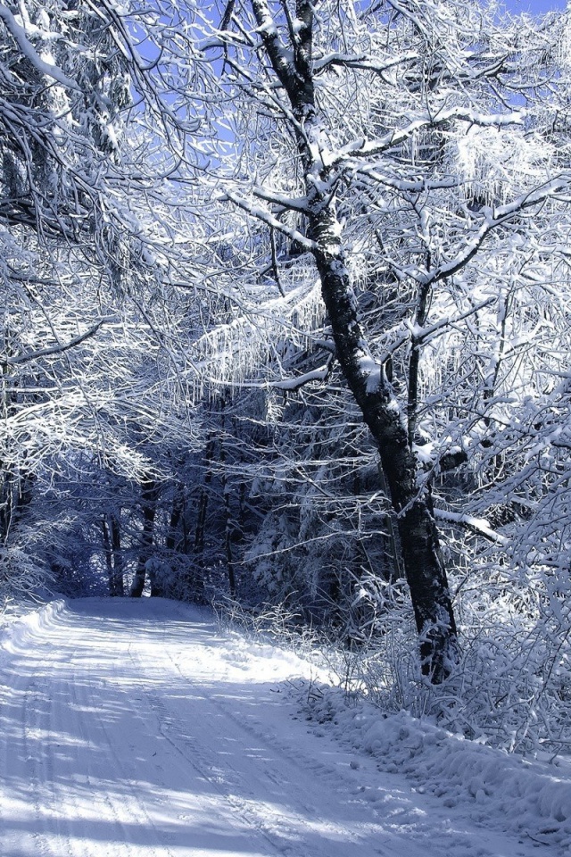 Fondo de pantalla Winter Road in Snow 640x960