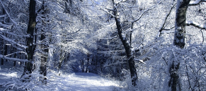 Screenshot №1 pro téma Winter Road in Snow 720x320