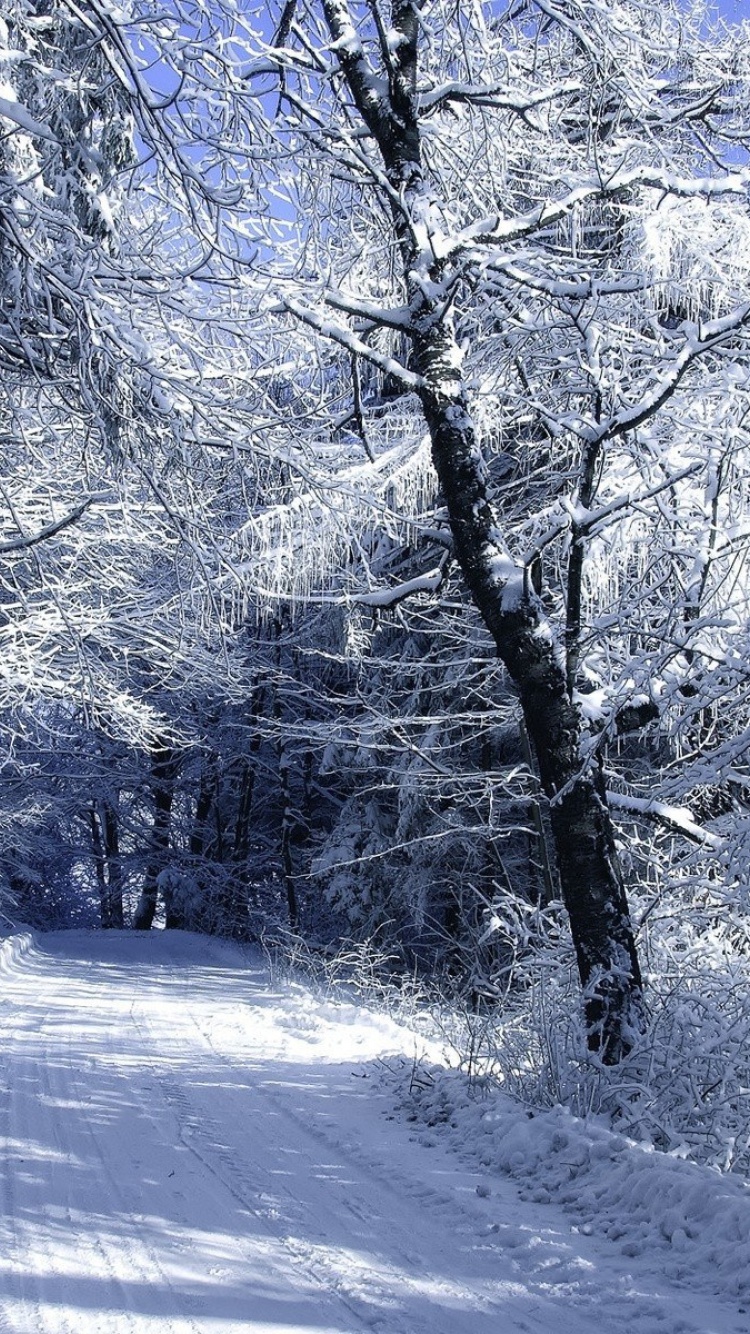 Das Winter Road in Snow Wallpaper 750x1334