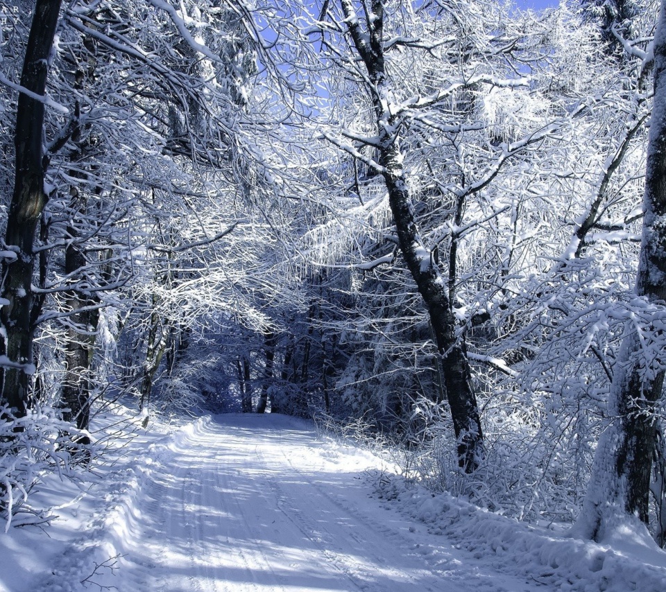 Fondo de pantalla Winter Road in Snow 960x854