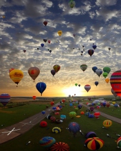 Air Balloons wallpaper 176x220