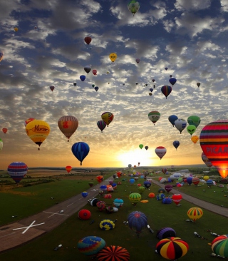 Air Balloons Background for 240x320