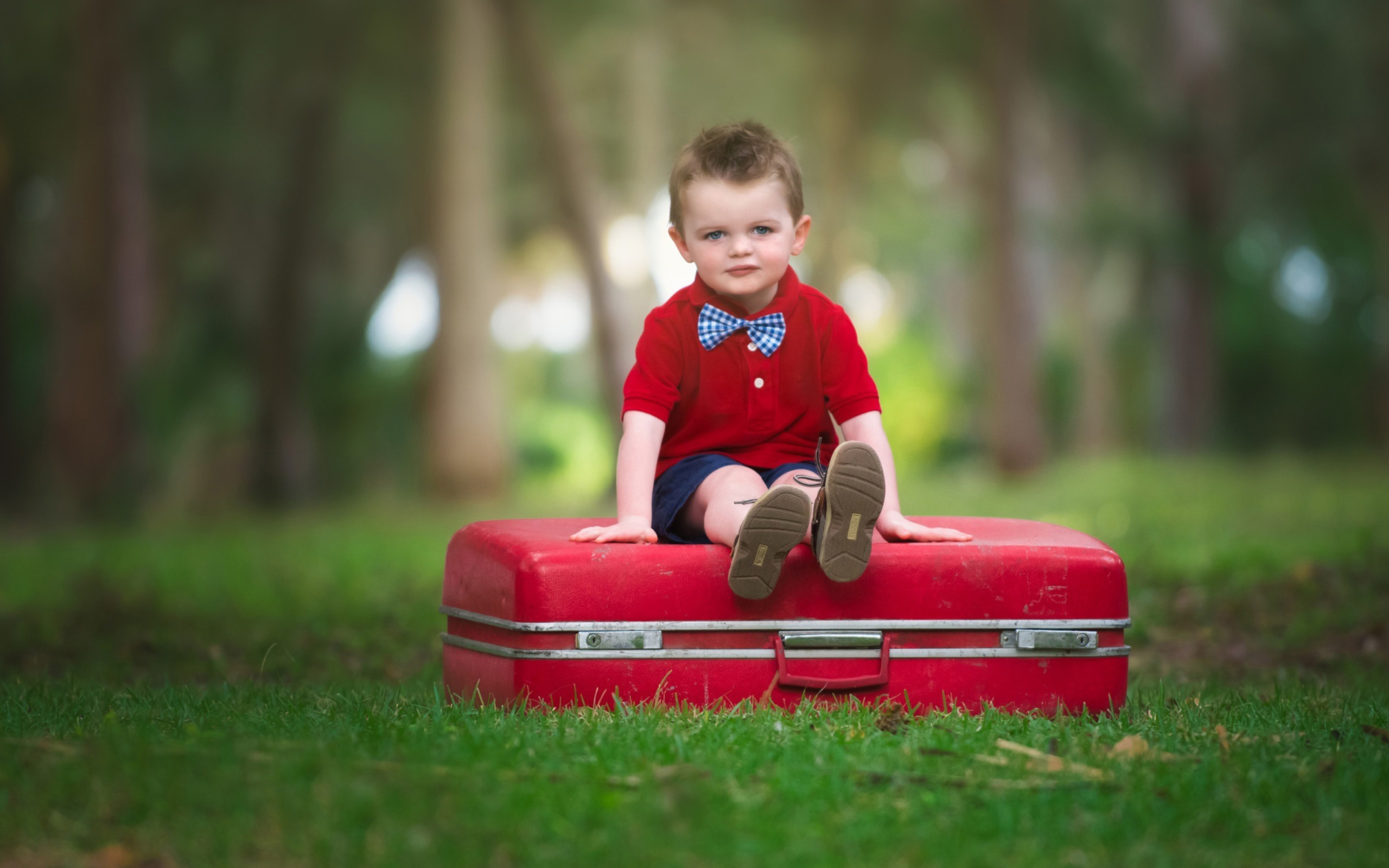 Das Cute Boy Sitting On Red Luggage Wallpaper 2560x1600