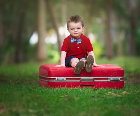 Das Cute Boy Sitting On Red Luggage Wallpaper 480x400