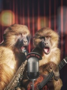 Sfondi Monkey Concert 132x176