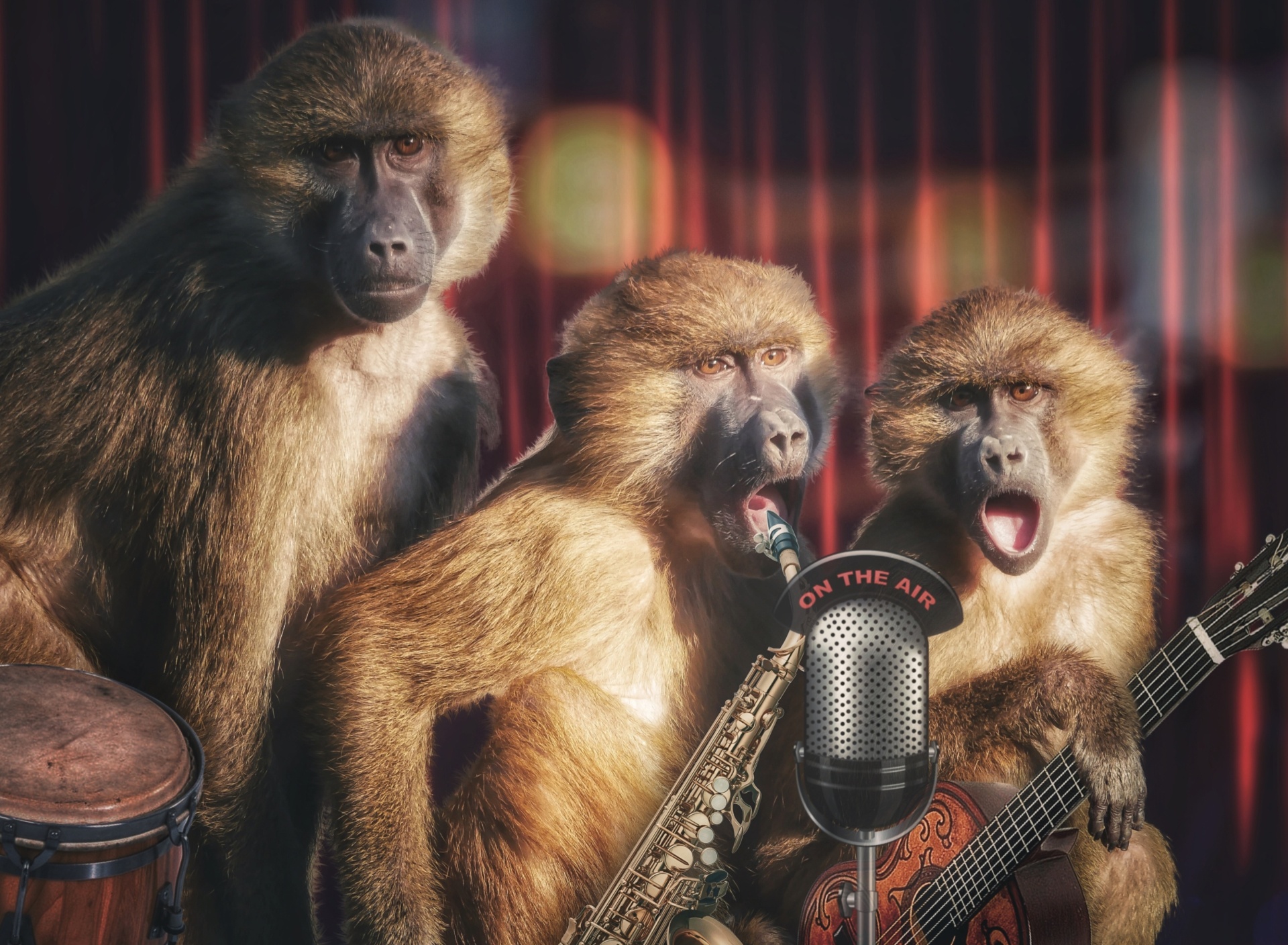 Sfondi Monkey Concert 1920x1408