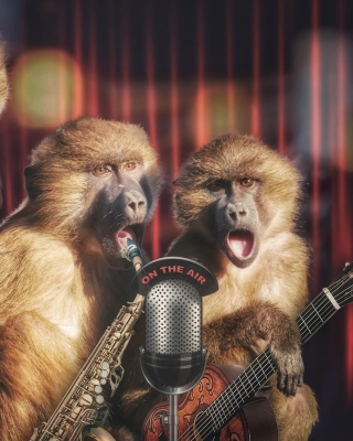 Monkey Concert - Obrázkek zdarma pro Nokia Lumia 2520