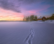 Sfondi Footprints on snow 176x144