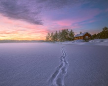 Sfondi Footprints on snow 220x176