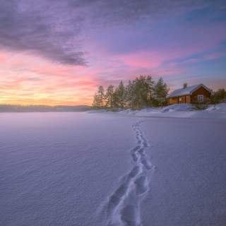 Footprints on snow sfondi gratuiti per 1024x1024