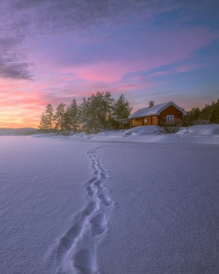 Footprints on snow - Obrázkek zdarma pro iPhone XR
