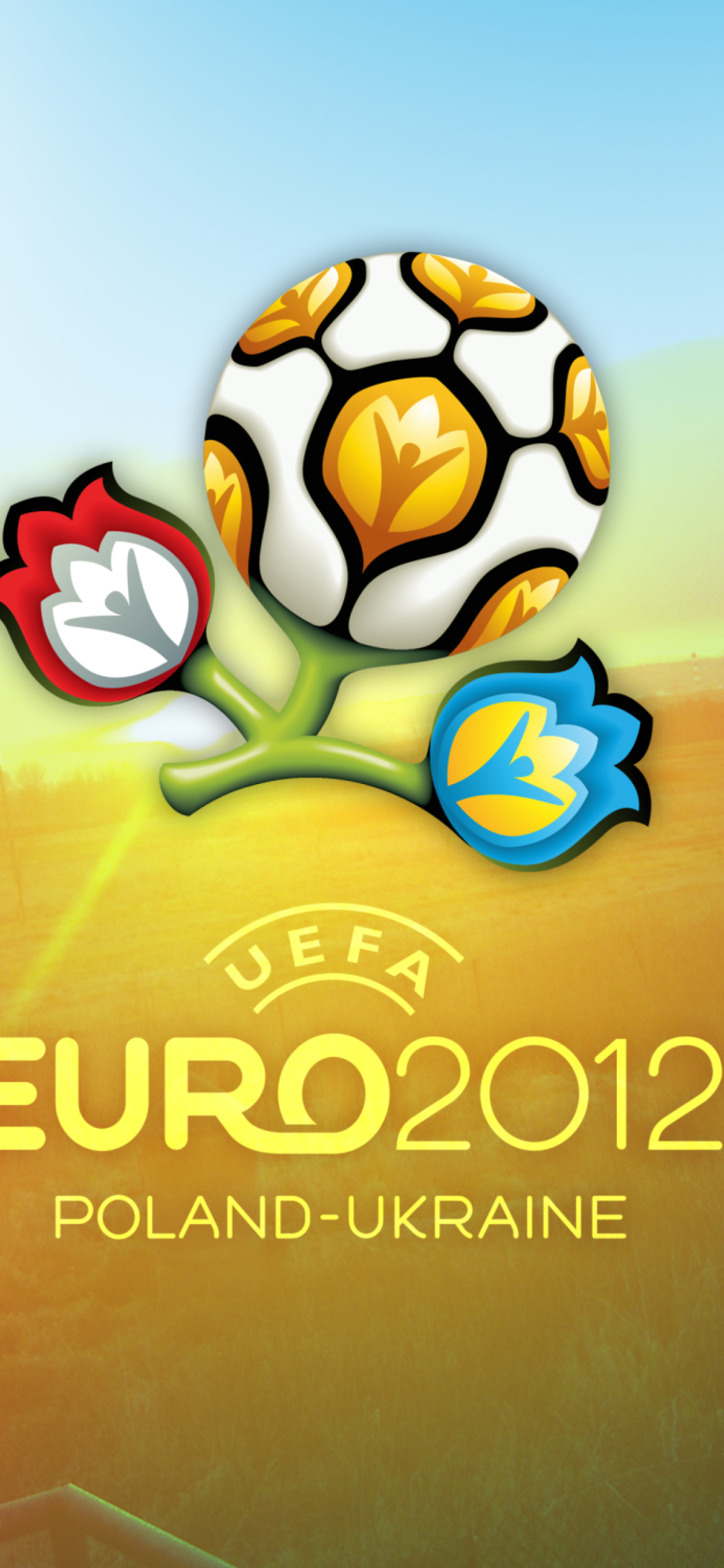Euro 2012 wallpaper 1170x2532