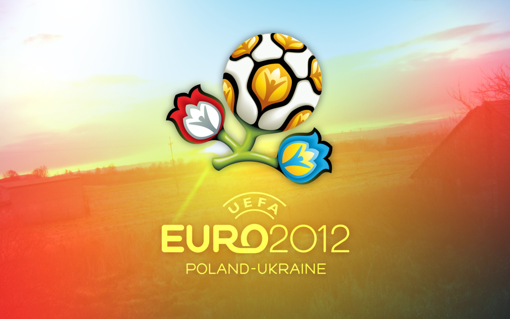 Das Euro 2012 Wallpaper 1680x1050