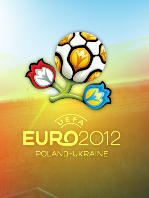 Fondo de pantalla Euro 2012 480x640