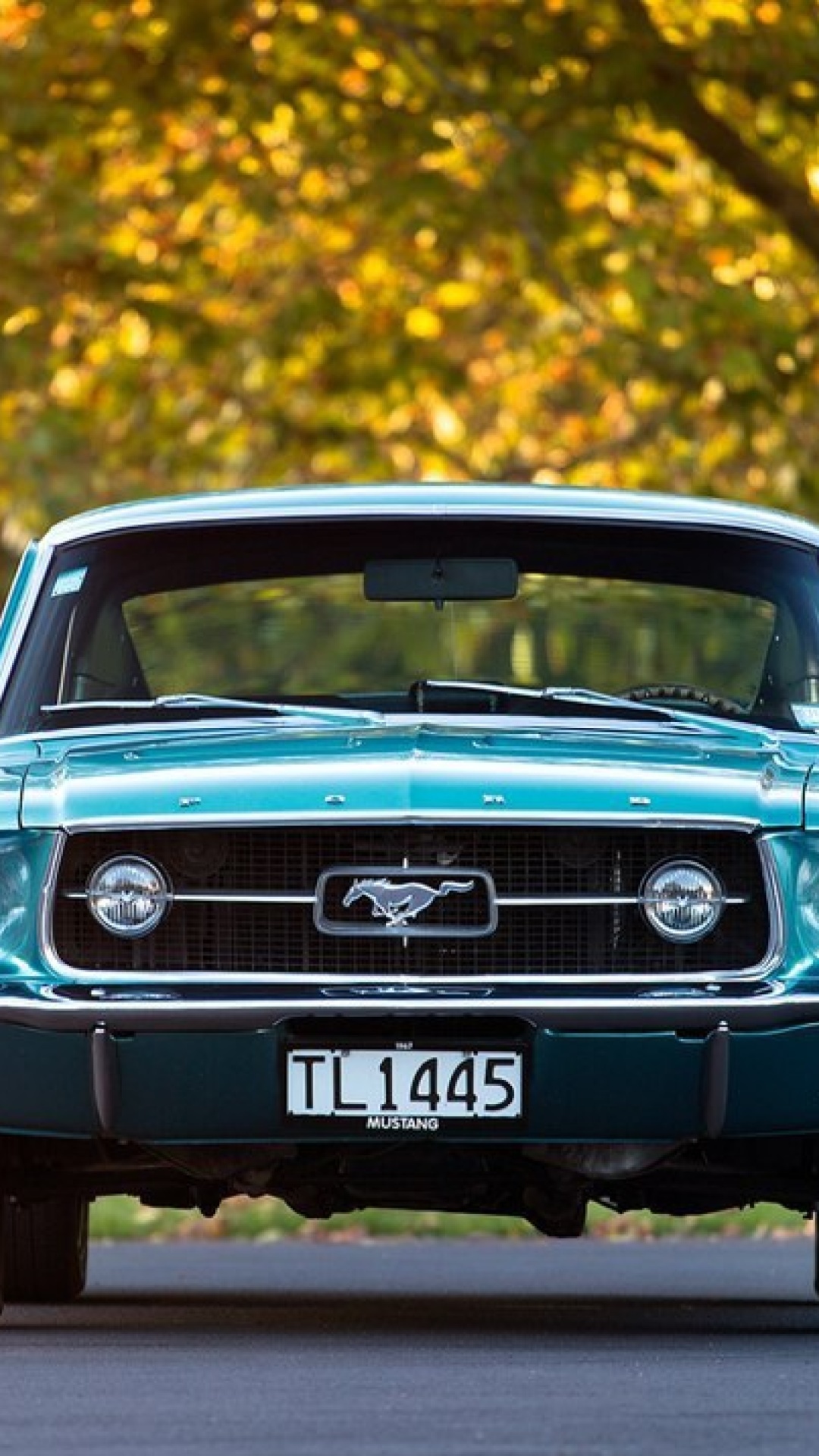 Das Ford Mustang First Generation Wallpaper 1080x1920