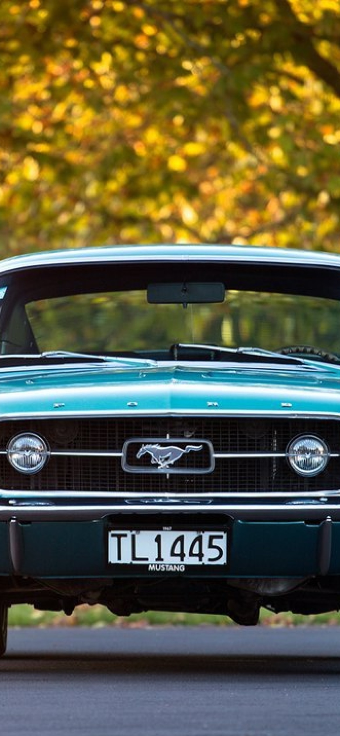 Ford Mustang First Generation wallpaper 1170x2532