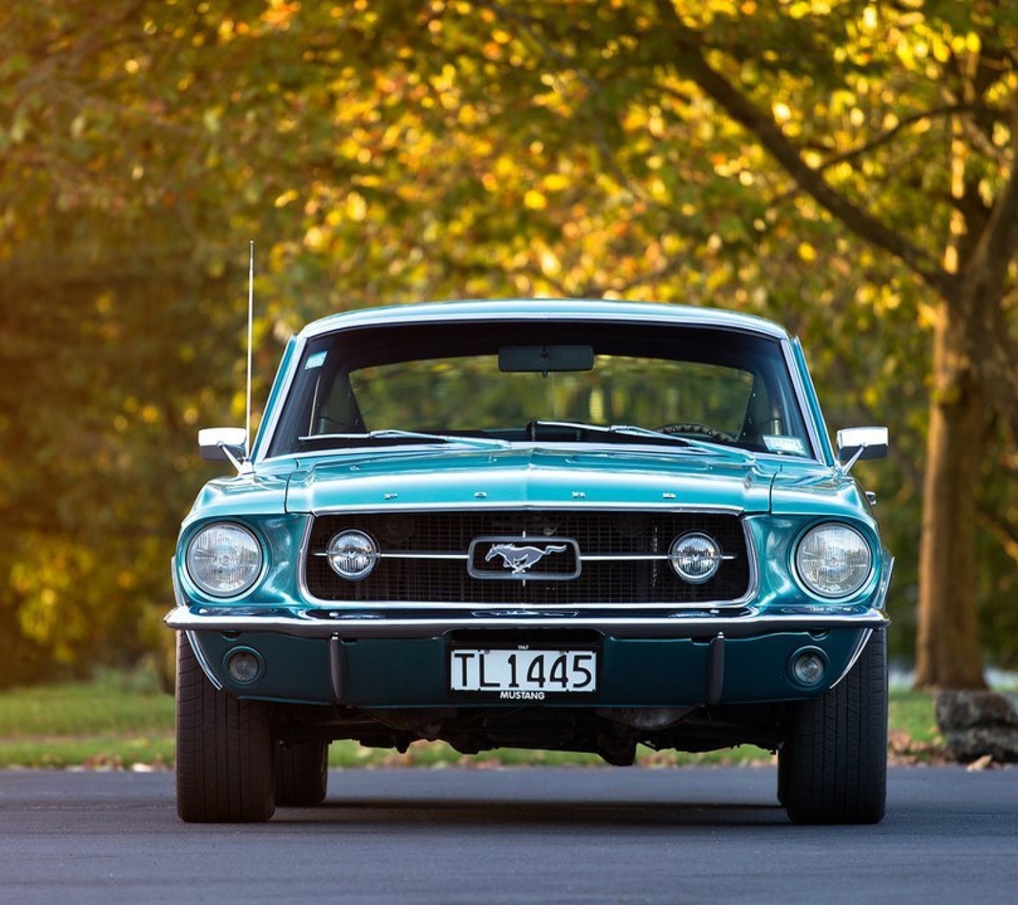 Обои Ford Mustang First Generation 1440x1280