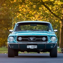 Das Ford Mustang First Generation Wallpaper 208x208