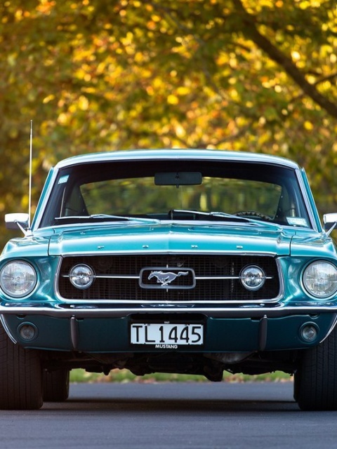 Fondo de pantalla Ford Mustang First Generation 480x640
