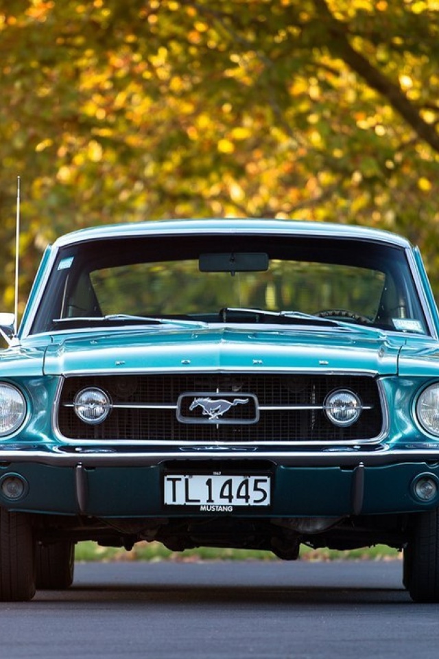 Das Ford Mustang First Generation Wallpaper 640x960