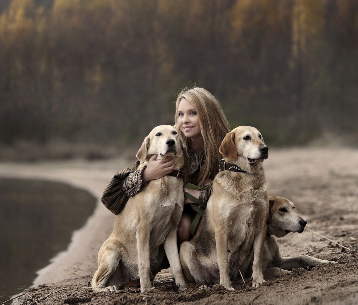 Обои Girl With Dogs 1200x1024