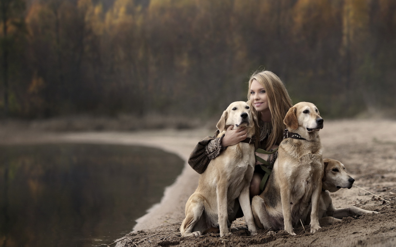 Girl With Dogs wallpaper 1280x800