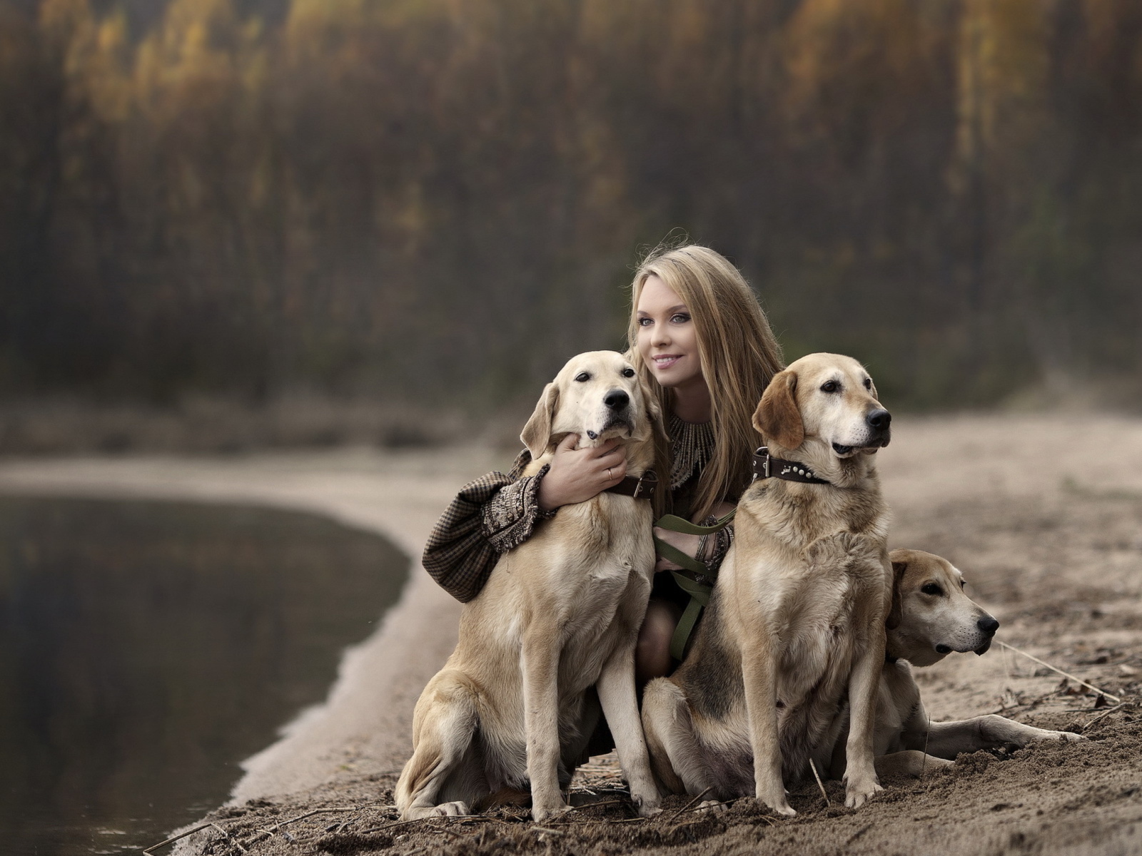Girl With Dogs wallpaper 1600x1200