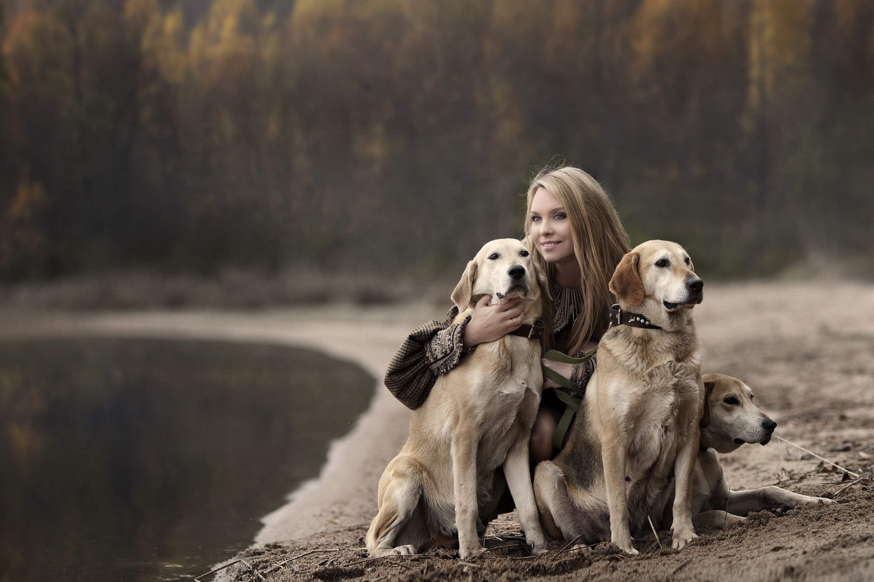 Das Girl With Dogs Wallpaper 2880x1920