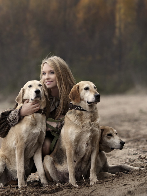 Das Girl With Dogs Wallpaper 480x640