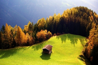 Kostenloses House On Top Of Green Hill Wallpaper für Android, iPhone und iPad