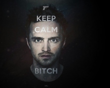 Keep Calm And Watch Breaking Bad wallpaper 220x176