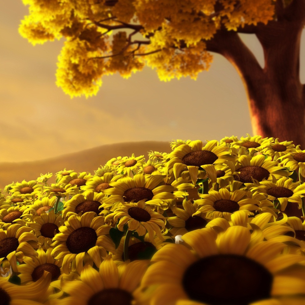 Fondo de pantalla Sunflower World 1024x1024